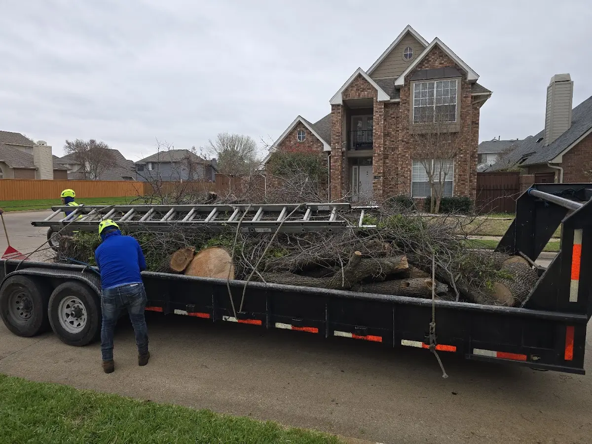 Expert Lot Clearing with proper safety equipment in Jackson